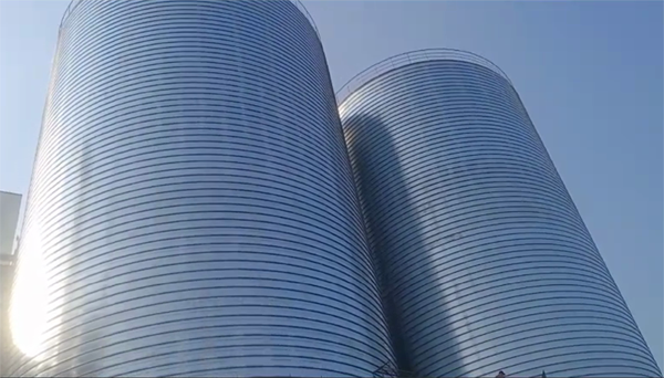 沧源2座混凝土高架卷板仓